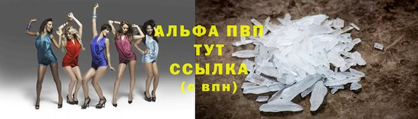 гашик Кинешма