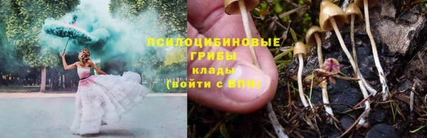 гашик Кинешма