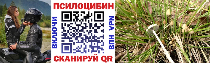 даркнет официальный сайт  Первоуральск  Псилоцибиновые грибы мухоморы 